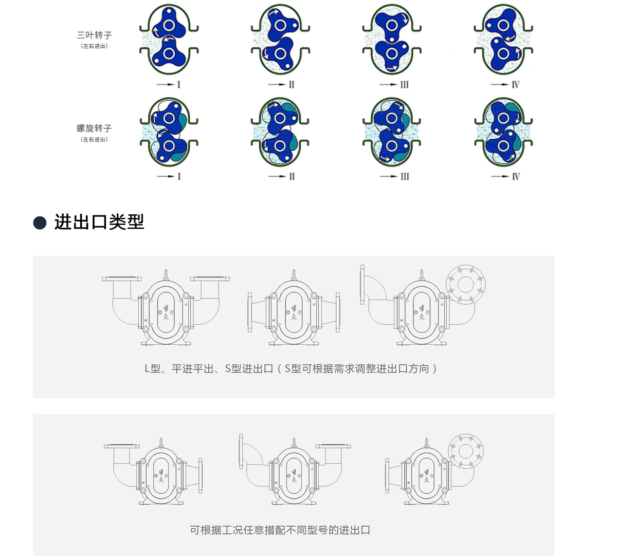 转子泵1-1.jpg